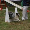 foire-haricots 2011-09-17et18